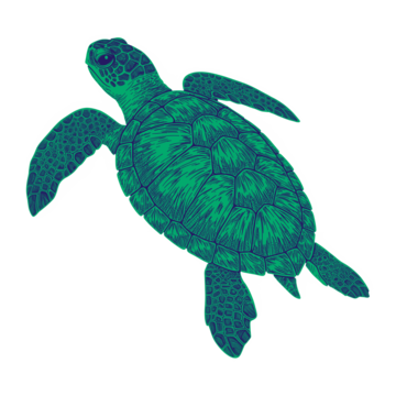 ícone tartaruga